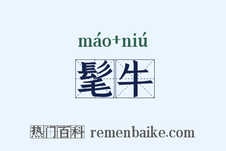 髦牛是什么意思的图片